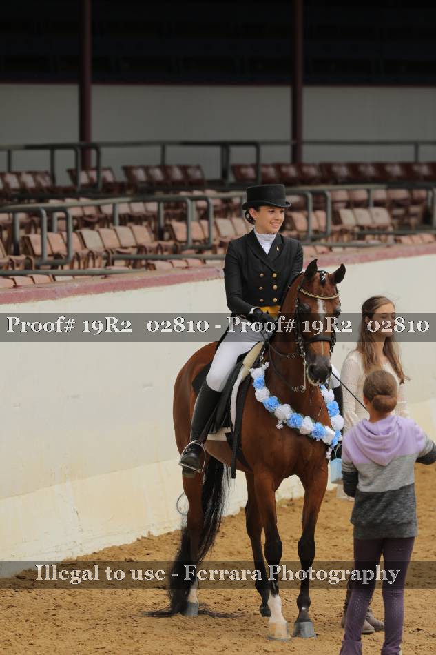 Proof 19R2_02810