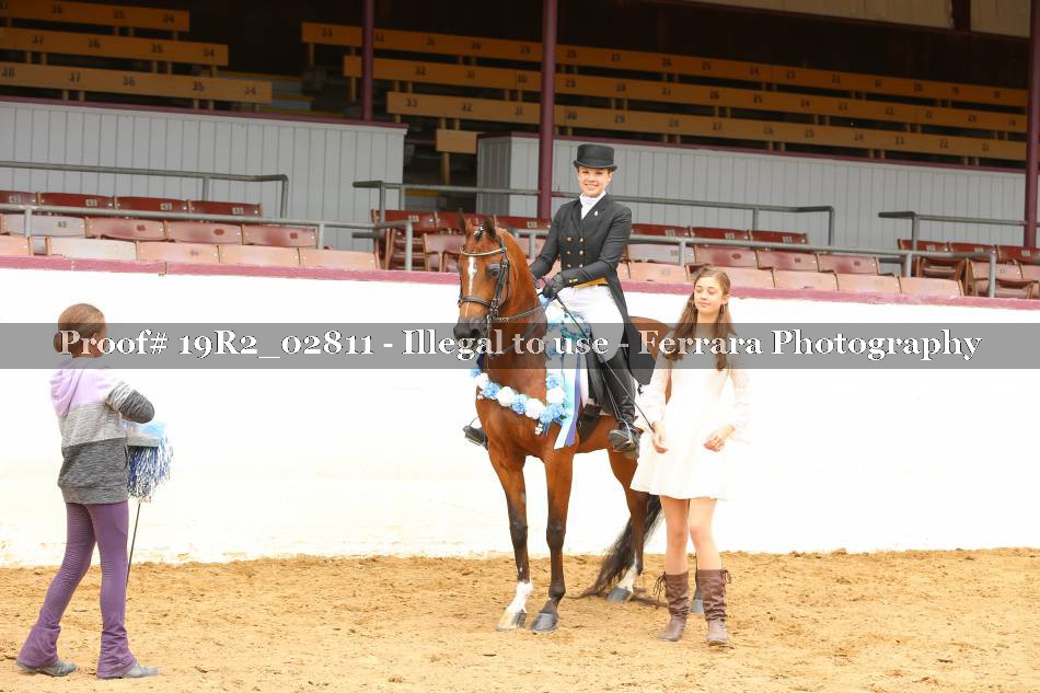 Proof 19R2_02811