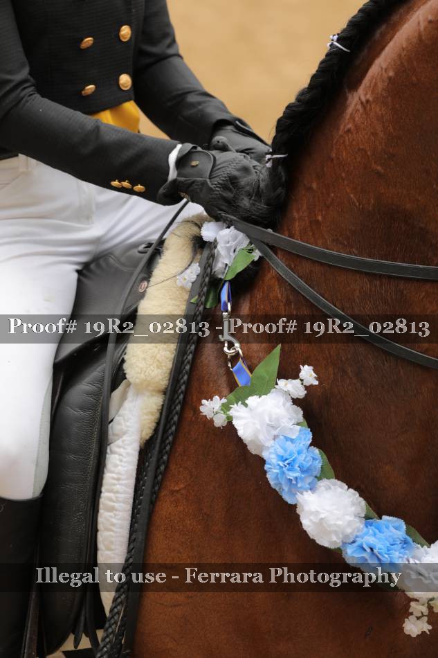 Proof 19R2_02813