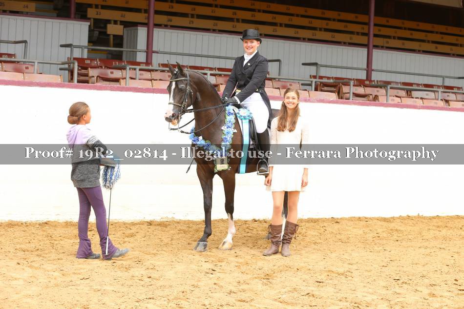 Proof 19R2_02814
