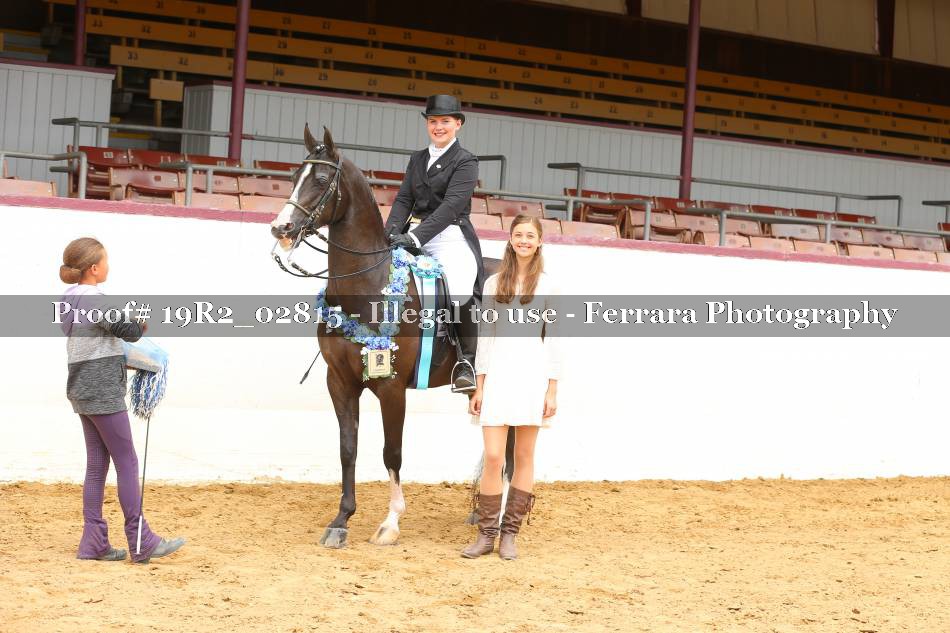 Proof 19R2_02815