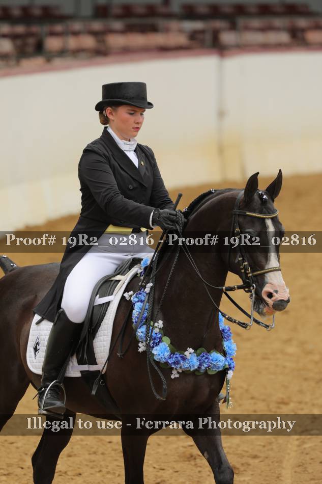 Proof 19R2_02816