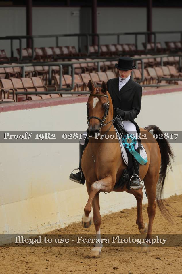 Proof 19R2_02817