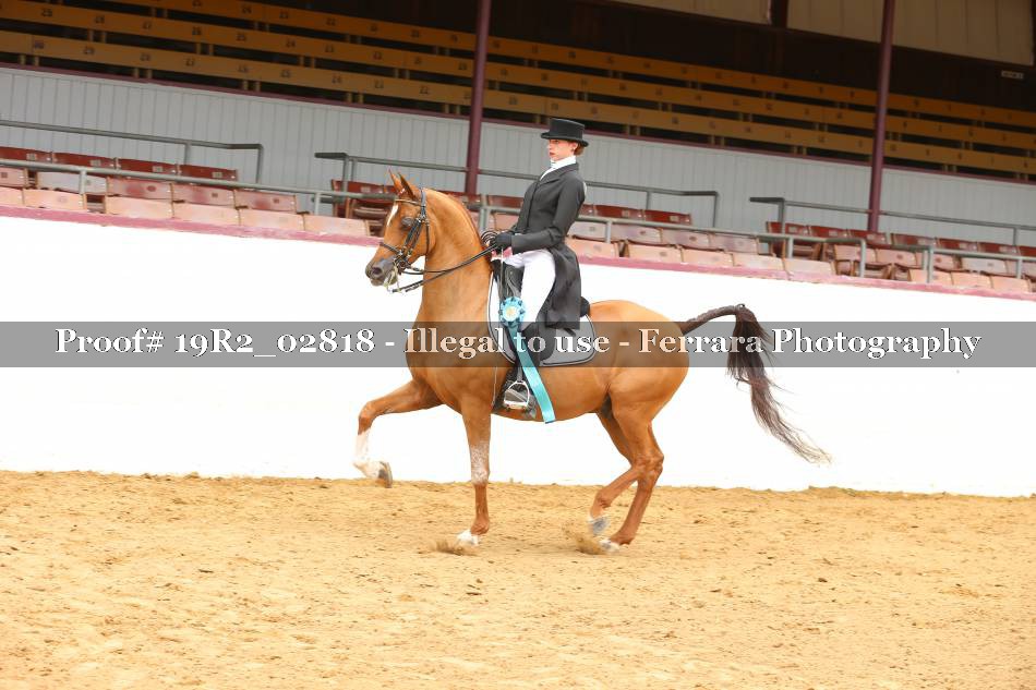 Proof 19R2_02818