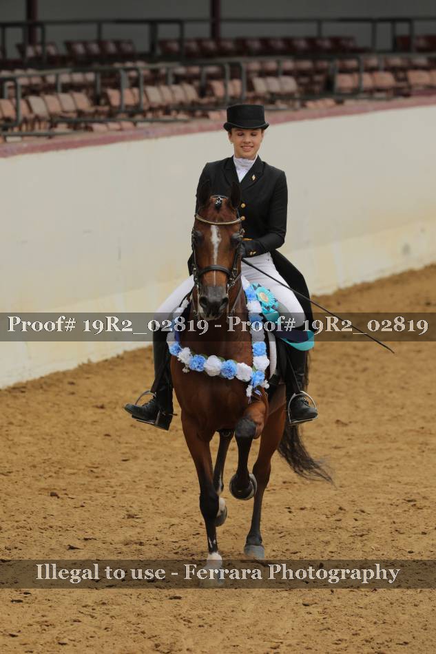 Proof 19R2_02819