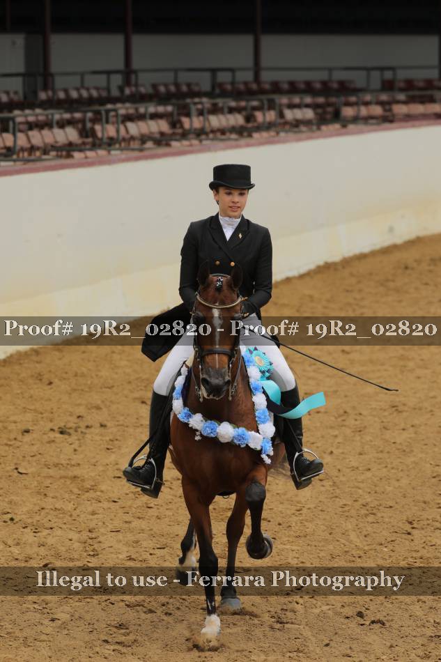 Proof 19R2_02820