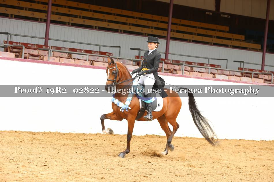 Proof 19R2_02822