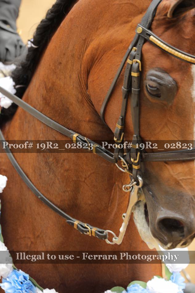 Proof 19R2_02823