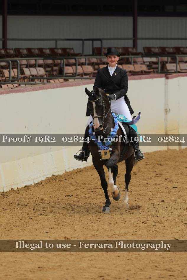 Proof 19R2_02824