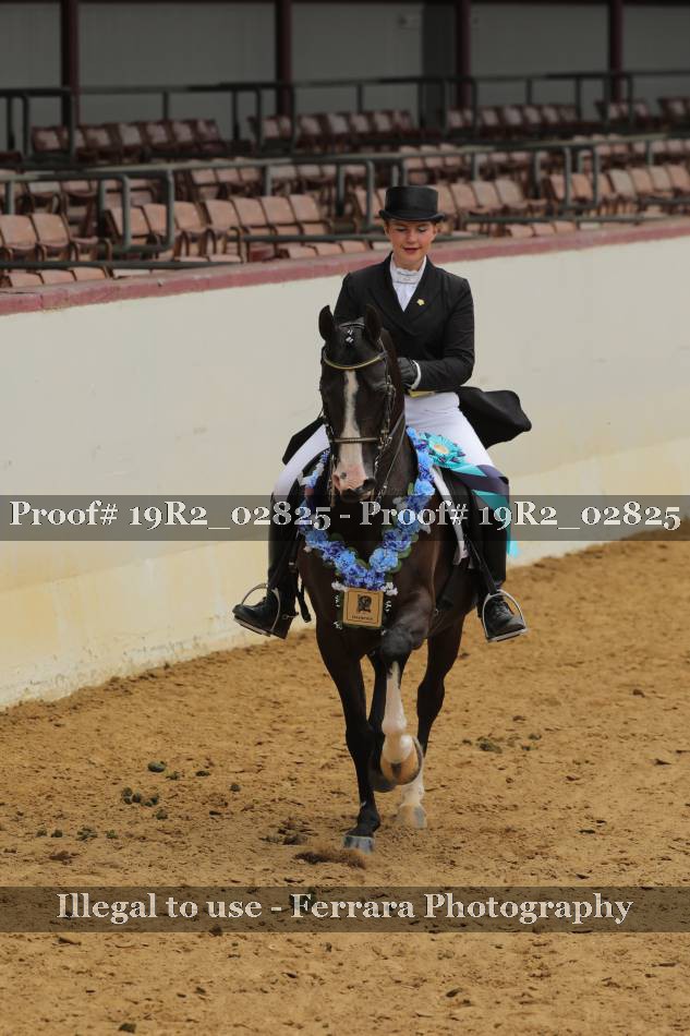Proof 19R2_02825