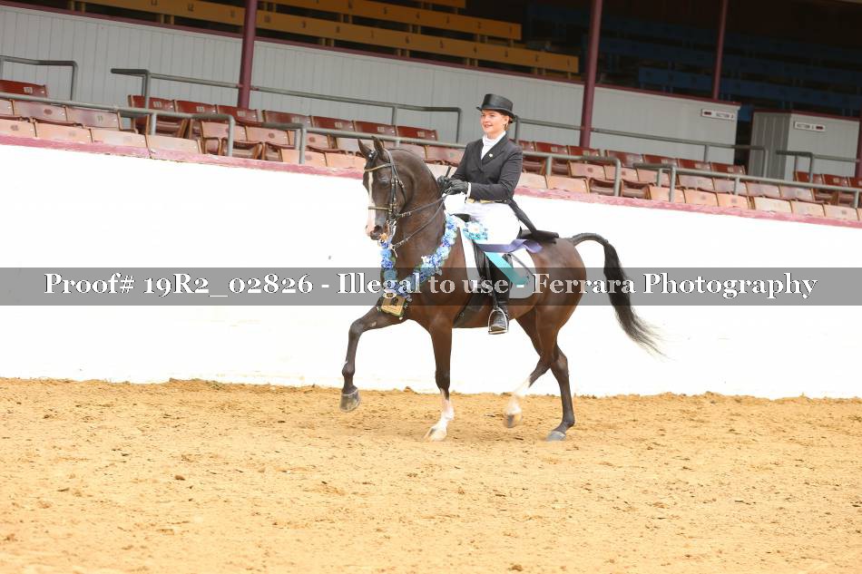 Proof 19R2_02826