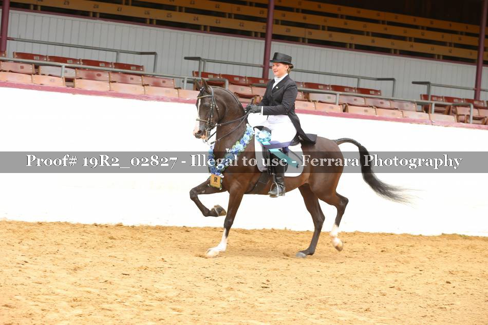 Proof 19R2_02827