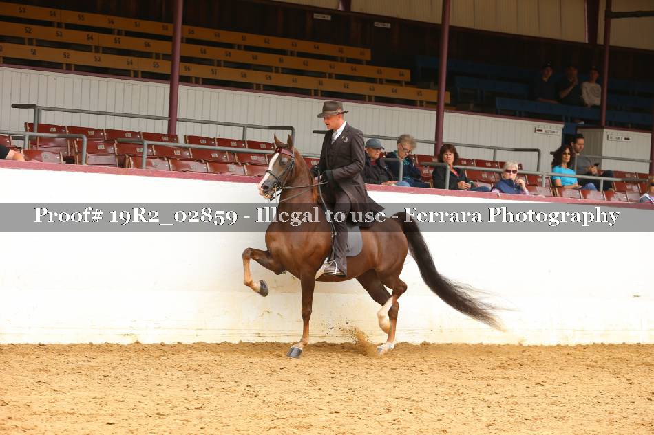Proof 19R2_02859