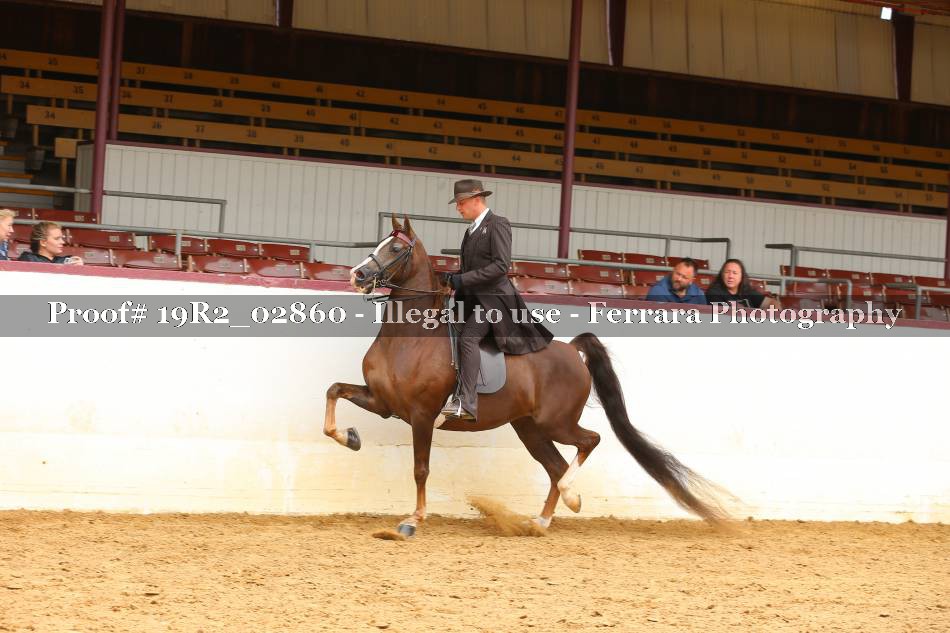 Proof 19R2_02860