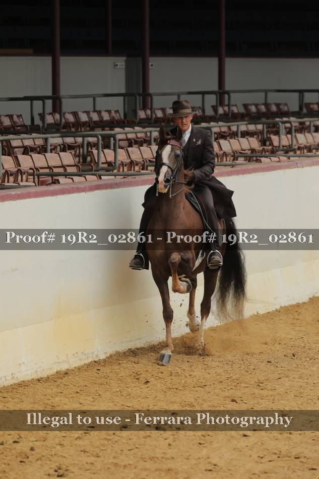 Proof 19R2_02861