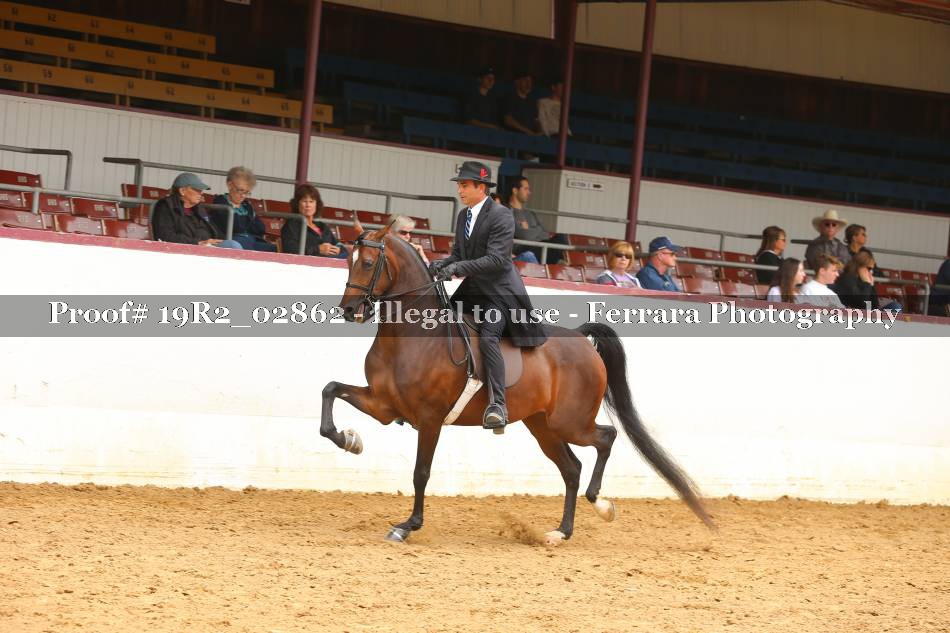 Proof 19R2_02862