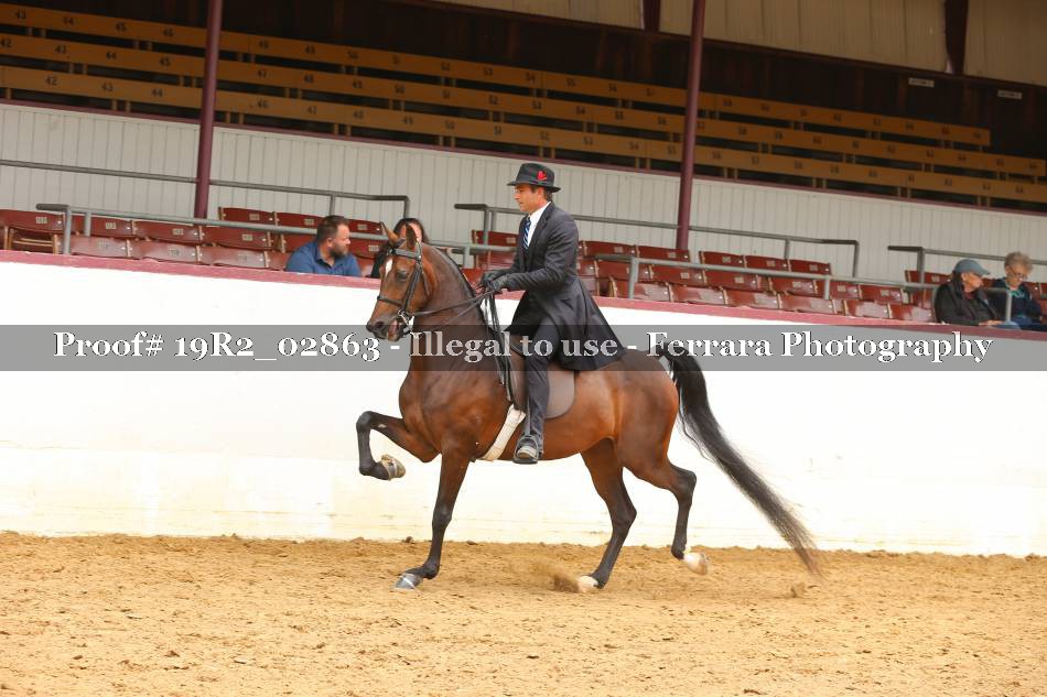 Proof 19R2_02863