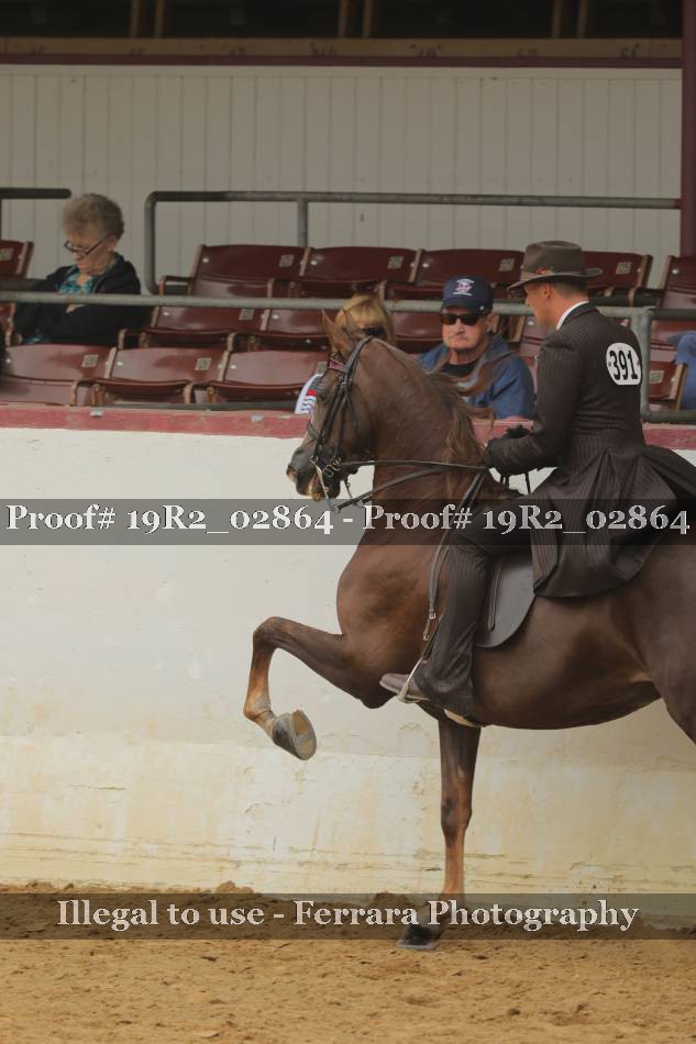 Proof 19R2_02864