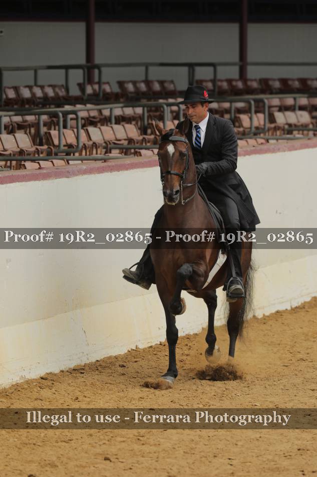 Proof 19R2_02865