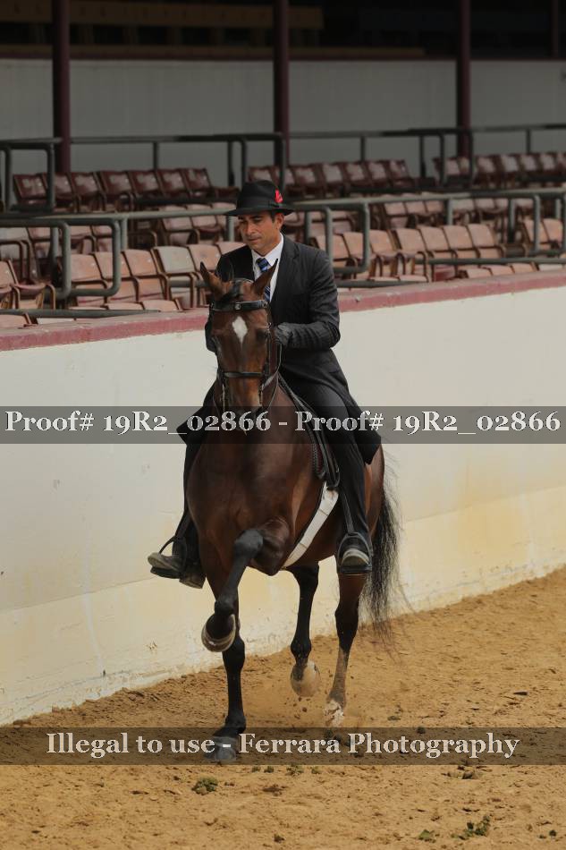 Proof 19R2_02866
