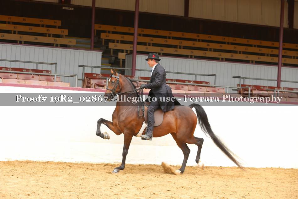 Proof 19R2_02867