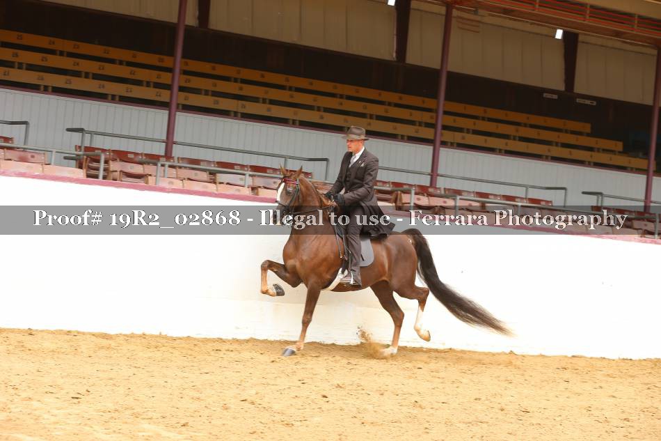 Proof 19R2_02868