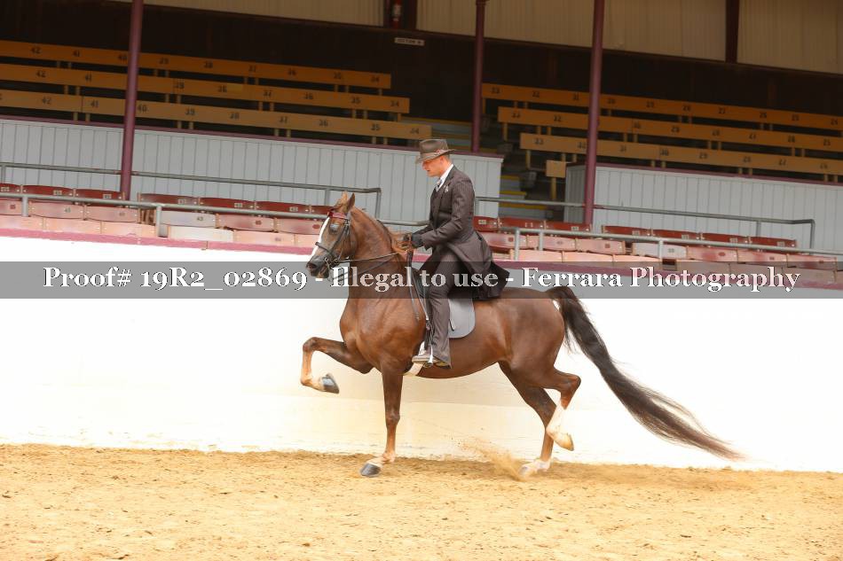 Proof 19R2_02869