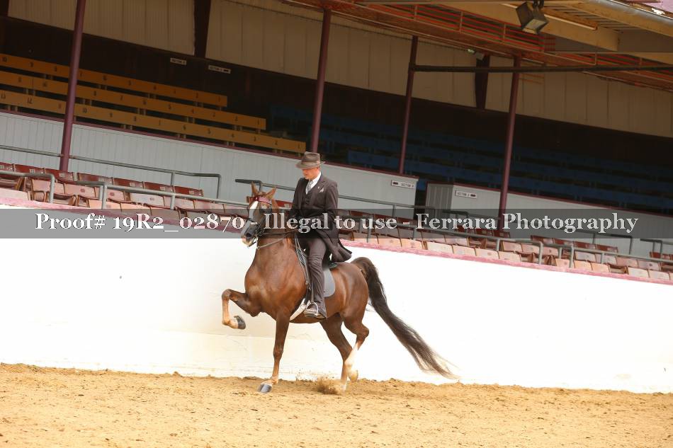 Proof 19R2_02870