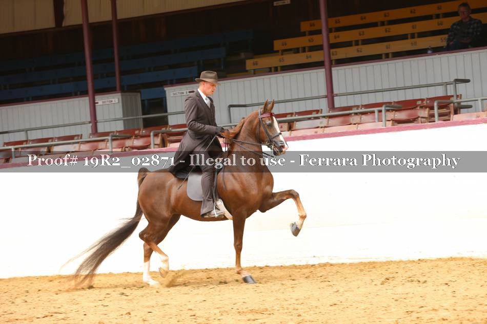 Proof 19R2_02871