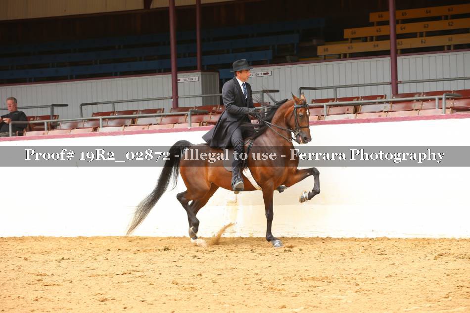 Proof 19R2_02872