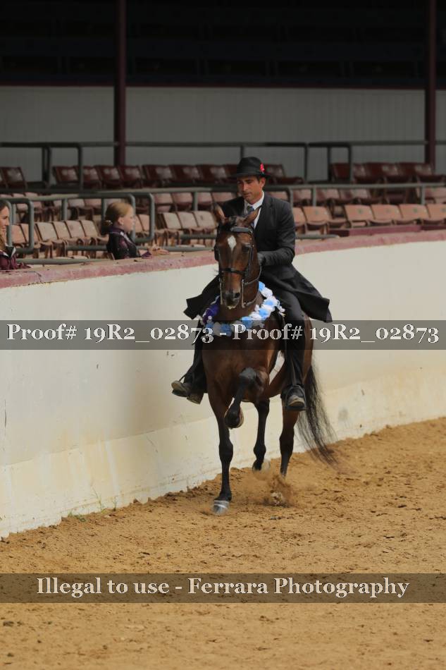 Proof 19R2_02873