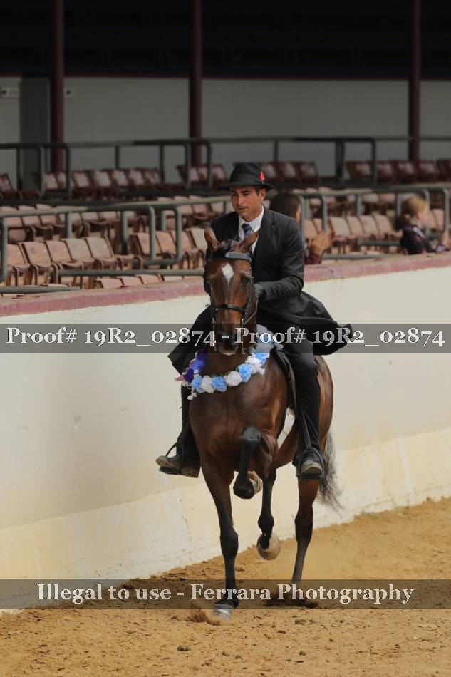 Proof 19R2_02874