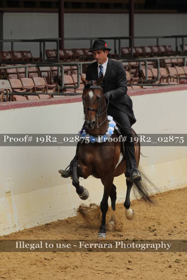 Proof 19R2_02875
