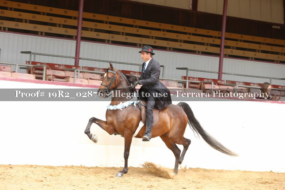 Proof 19R2_02876