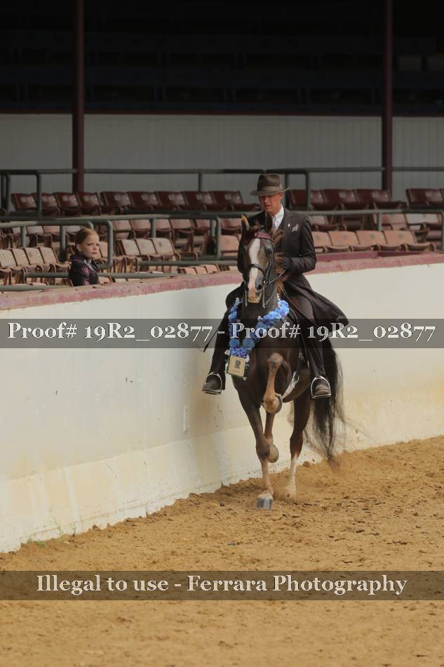 Proof 19R2_02877