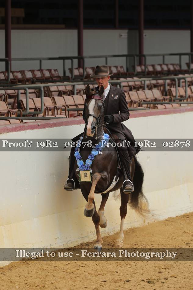 Proof 19R2_02878