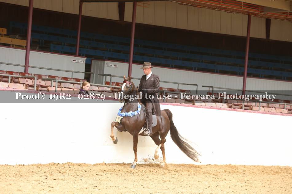 Proof 19R2_02879