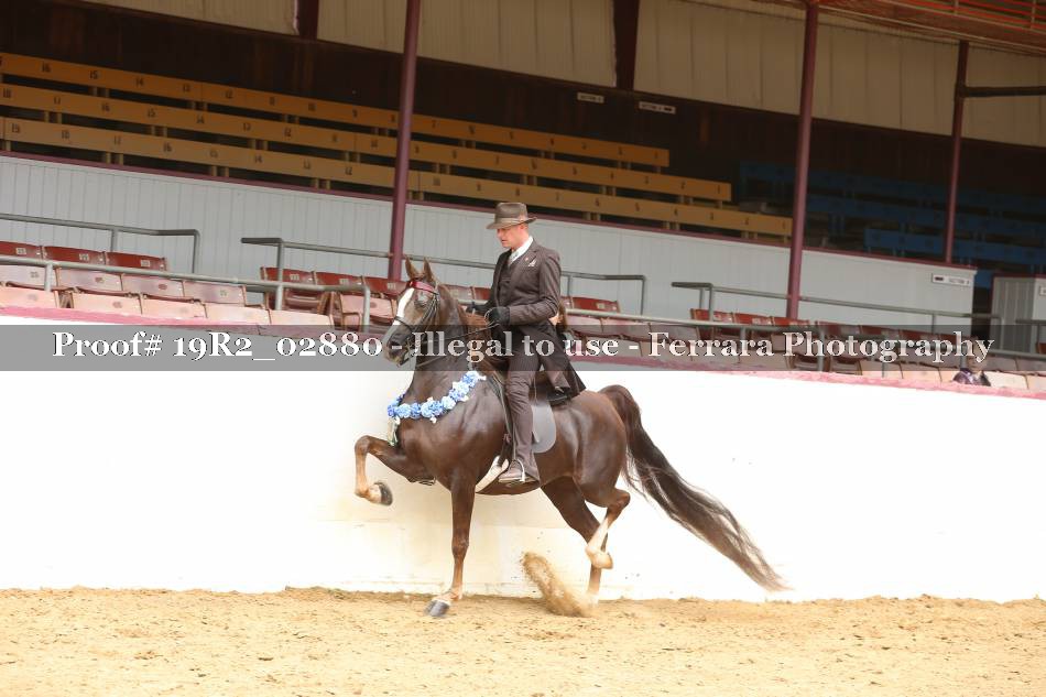 Proof 19R2_02880