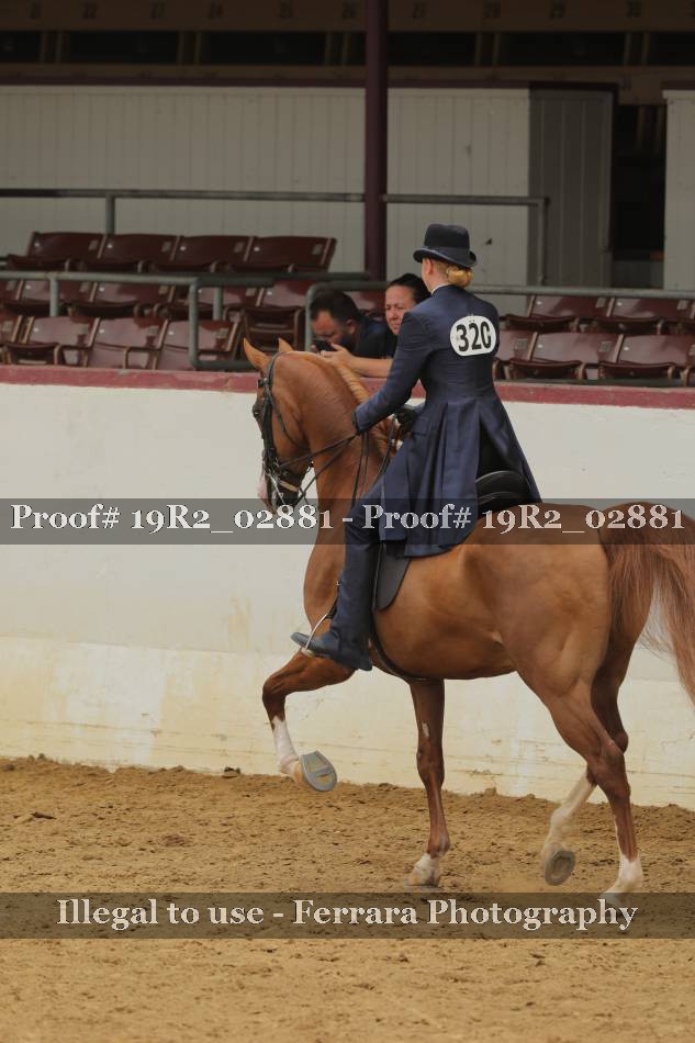 Proof 19R2_02881