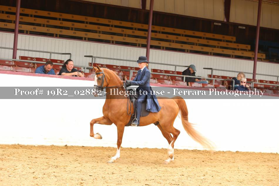 Proof 19R2_02882