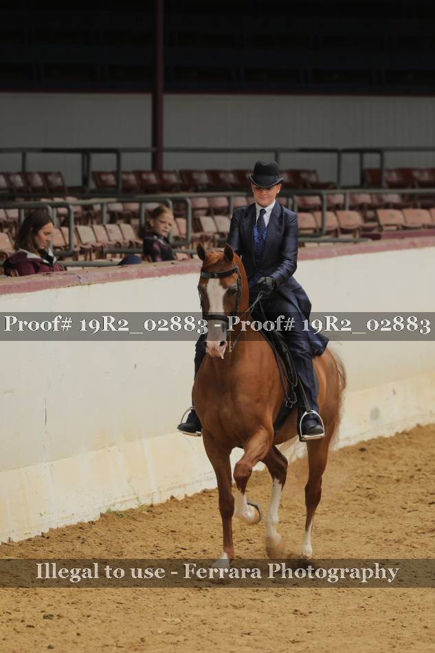 Proof 19R2_02883