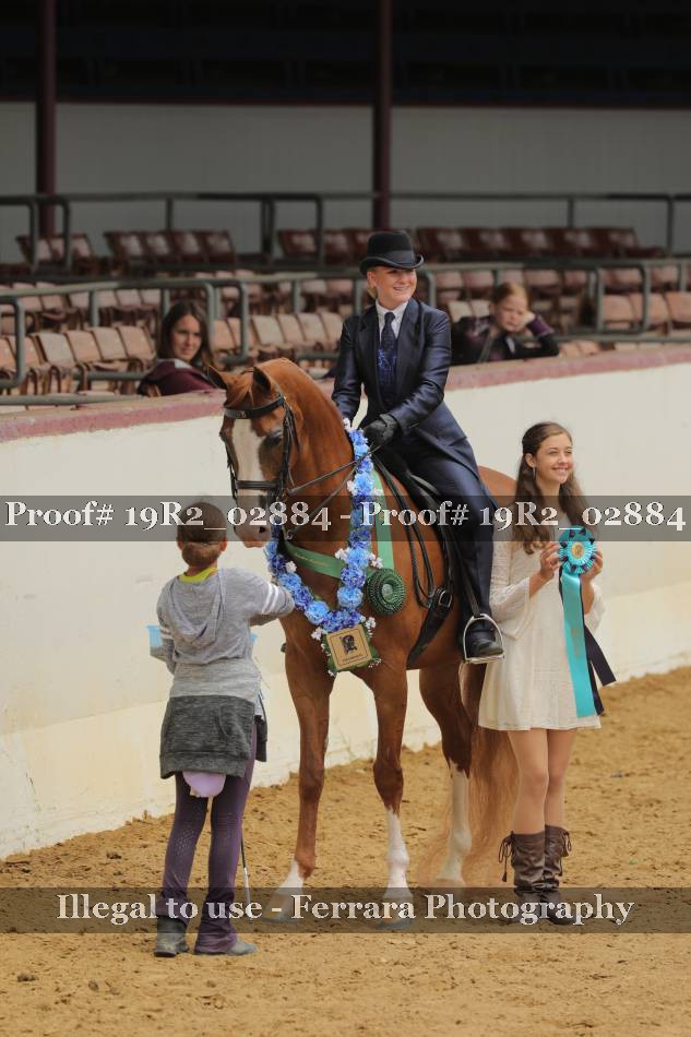 Proof 19R2_02884