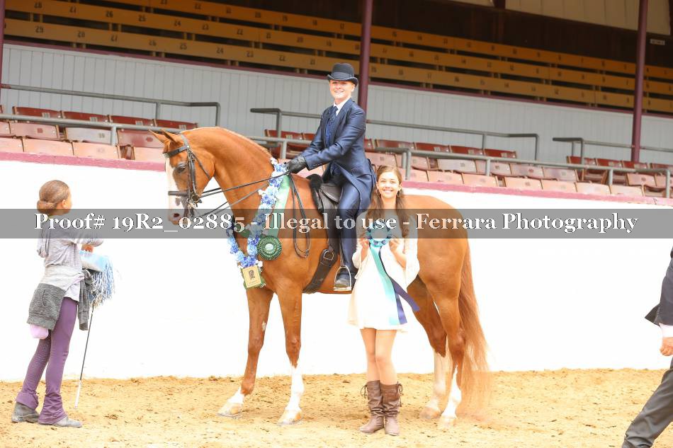 Proof 19R2_02885
