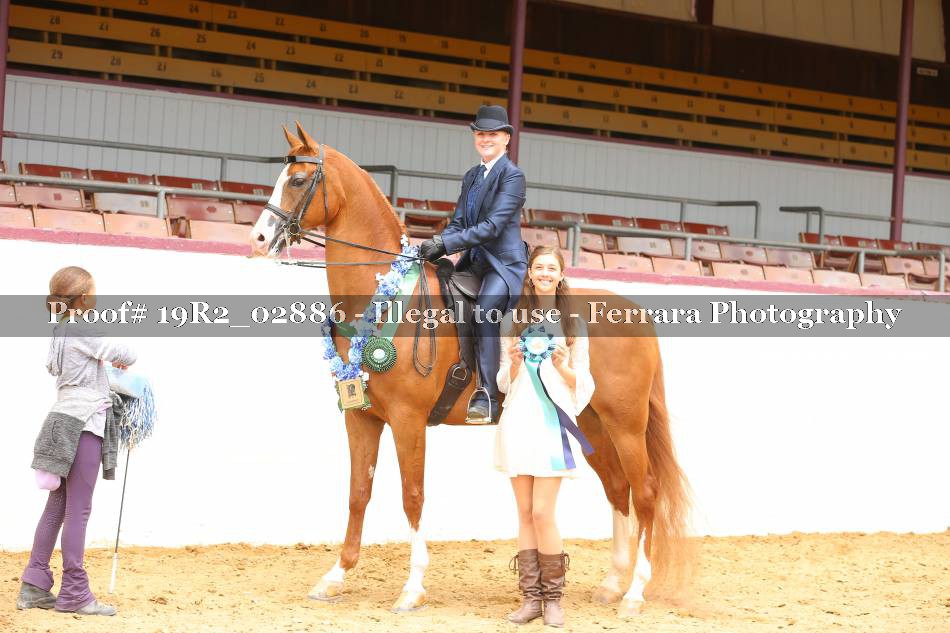 Proof 19R2_02886