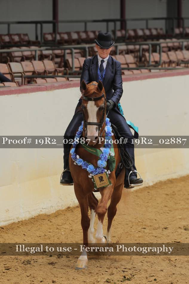 Proof 19R2_02887