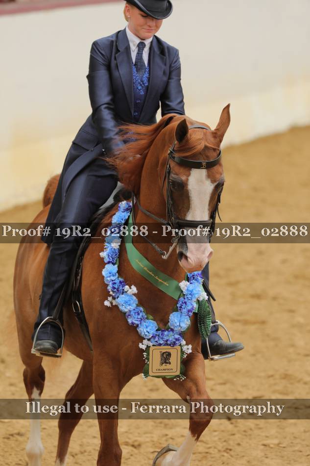 Proof 19R2_02888