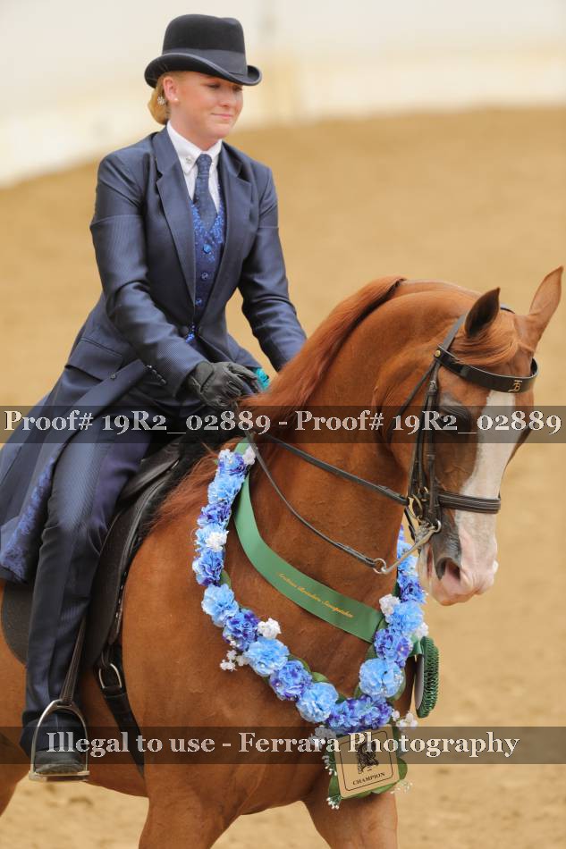 Proof 19R2_02889