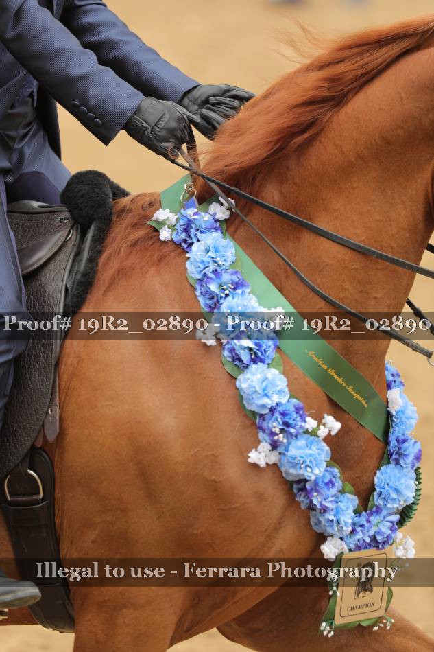 Proof 19R2_02890