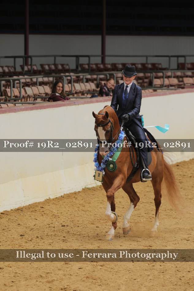 Proof 19R2_02891