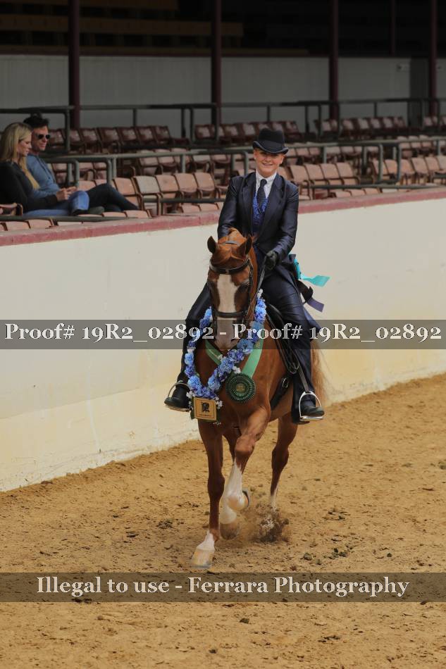 Proof 19R2_02892